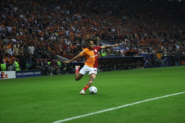 行动告诉所 行动告诉所