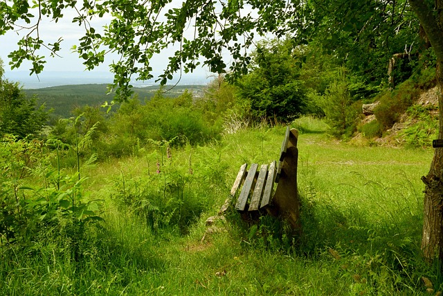 的排名产生 的排名产生