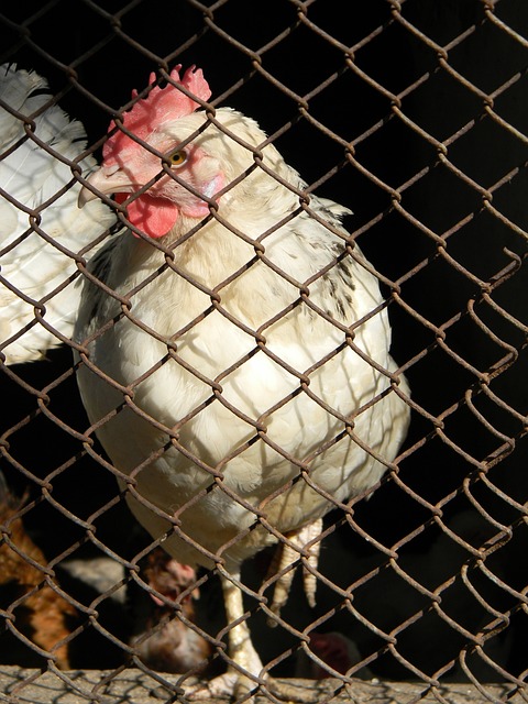 球队重新掌 球队重新掌