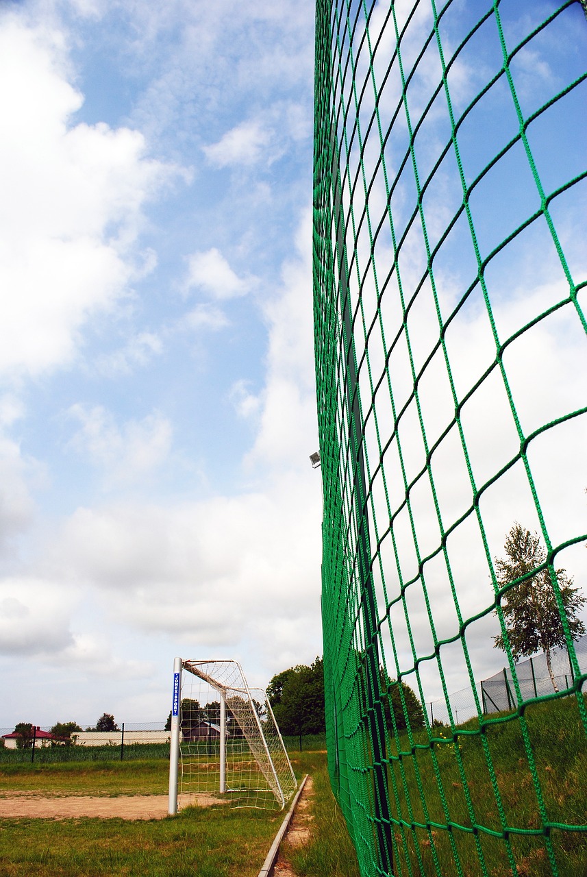 豪门还是逆 豪门还是逆