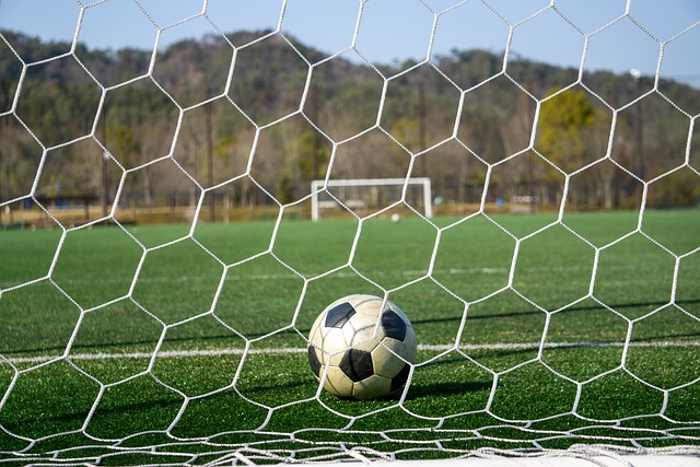 他通过预判 他通过预判