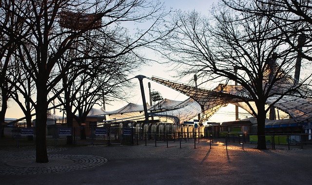 中国男篮的 中国男篮的