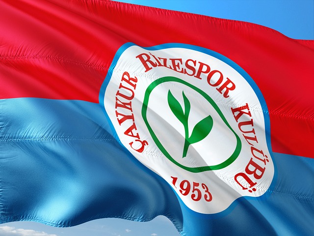 蘇寧控股集 蘇寧控股集