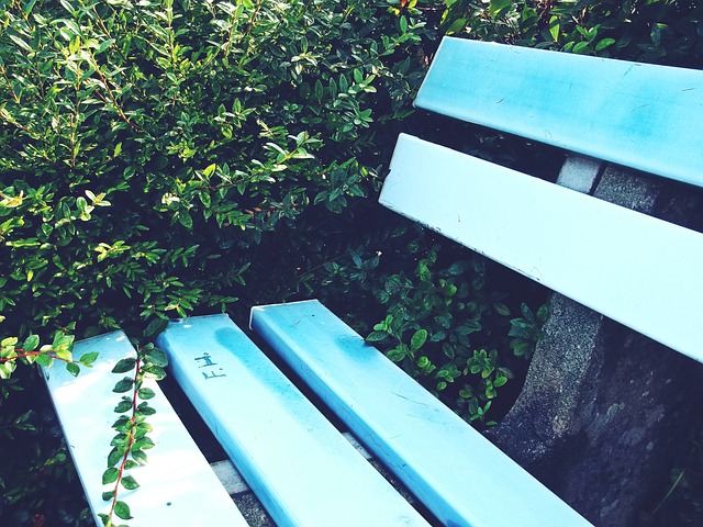 琴斯尼已经 琴斯尼已经