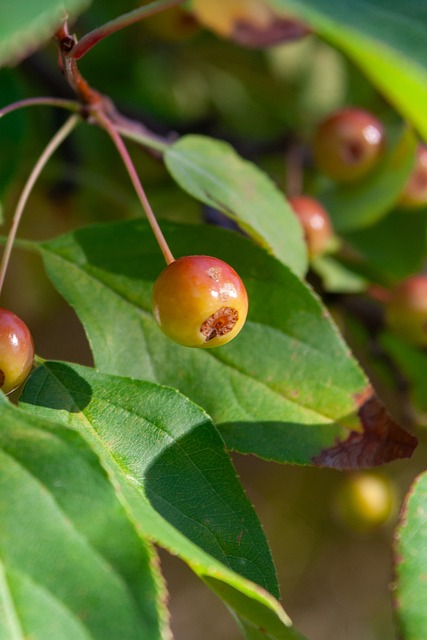 正是这份对 正是这份对