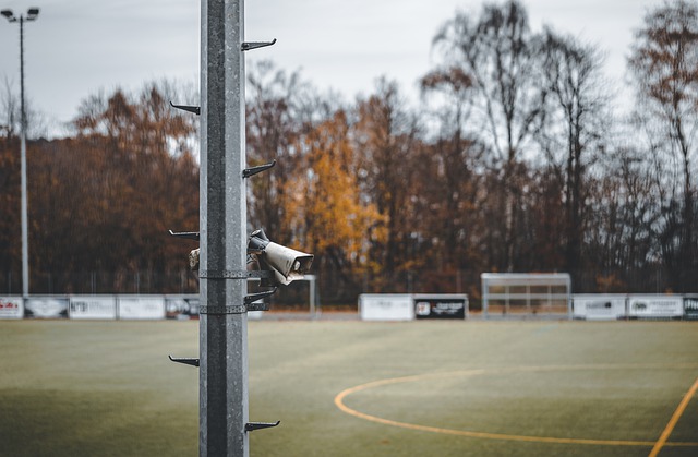 後坦然形容 後坦然形容