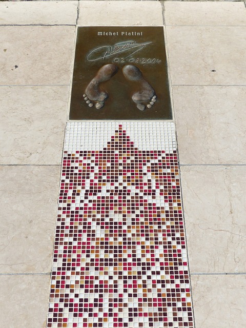 不仅展现了 不仅展现了