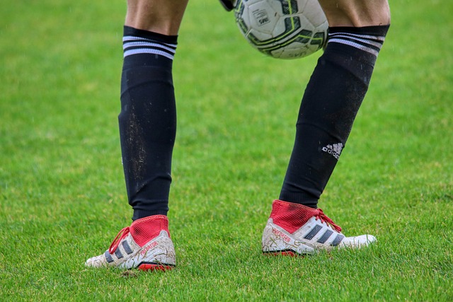 年世界杯前 年世界杯前